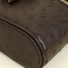 Louis Vuitton Chocolate Brown Ostrich Vanity Chain Pouch