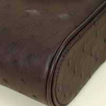 Louis Vuitton Chocolate Brown Ostrich Vanity Chain Pouch