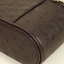 Louis Vuitton Chocolate Brown Ostrich Vanity Chain Pouch