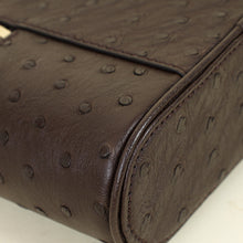 Louis Vuitton Chocolate Brown Ostrich Vanity Chain Pouch