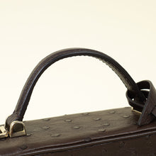 Louis Vuitton Chocolate Brown Ostrich Vanity Chain Pouch