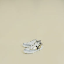 Louis Vuitton Tricolor Charlie Trainers 40