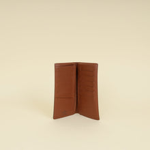Louis Vuitton Monogram Brazza Wallet