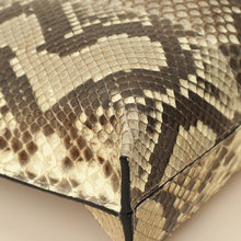 Loewe Bicolor Python Repeat T Pouch