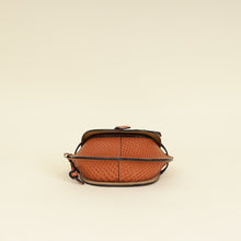Loewe Brown Python Mini Gate Bag