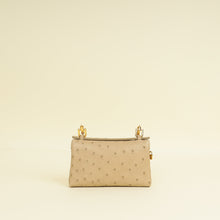 Loro Piana Galet Ostrich Extra Pocket Mini Pouch