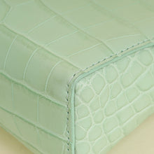 Loro Piana Mint Alligator Extra Pocket L14