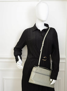 Loro Piana Light Gray Ostrich Extra Pocket