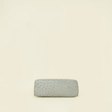 Loro Piana Light Gray Ostrich Extra Pocket