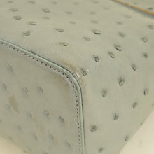 Loro Piana Light Gray Ostrich Extra Pocket
