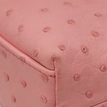 Loro Piana Pink Ostrich L19 Pouch Bag W/ Twilly