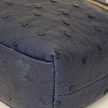 Loro Piana Blue Ostrich L19 Pouch