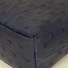 Loro Piana Blue Ostrich L19 Pouch