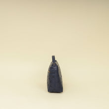 Loro Piana Blue Ostrich L19 Pouch