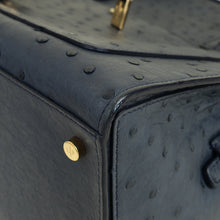 Loro Piana Navy Blue Ostrich Handle Bag