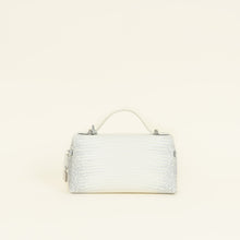 Loro Piana Bicolor Himalayan Lizard Extra Bag L23