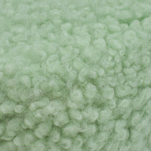 Miu Miu Green Shearling Mini Wander Handle Bag
