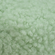 Miu Miu Green Shearling Mini Wander Handle Bag