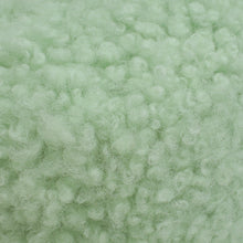 Miu Miu Green Shearling Mini Wander Handle Bag