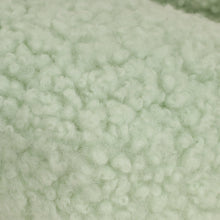 Miu Miu Green Shearling Mini Wander Handle Bag