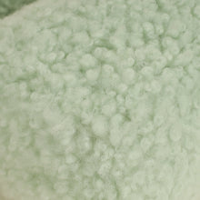 Miu Miu Green Shearling Mini Wander Handle Bag
