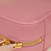 Miu Miu Petal Pink Beau Ayers Python Bag