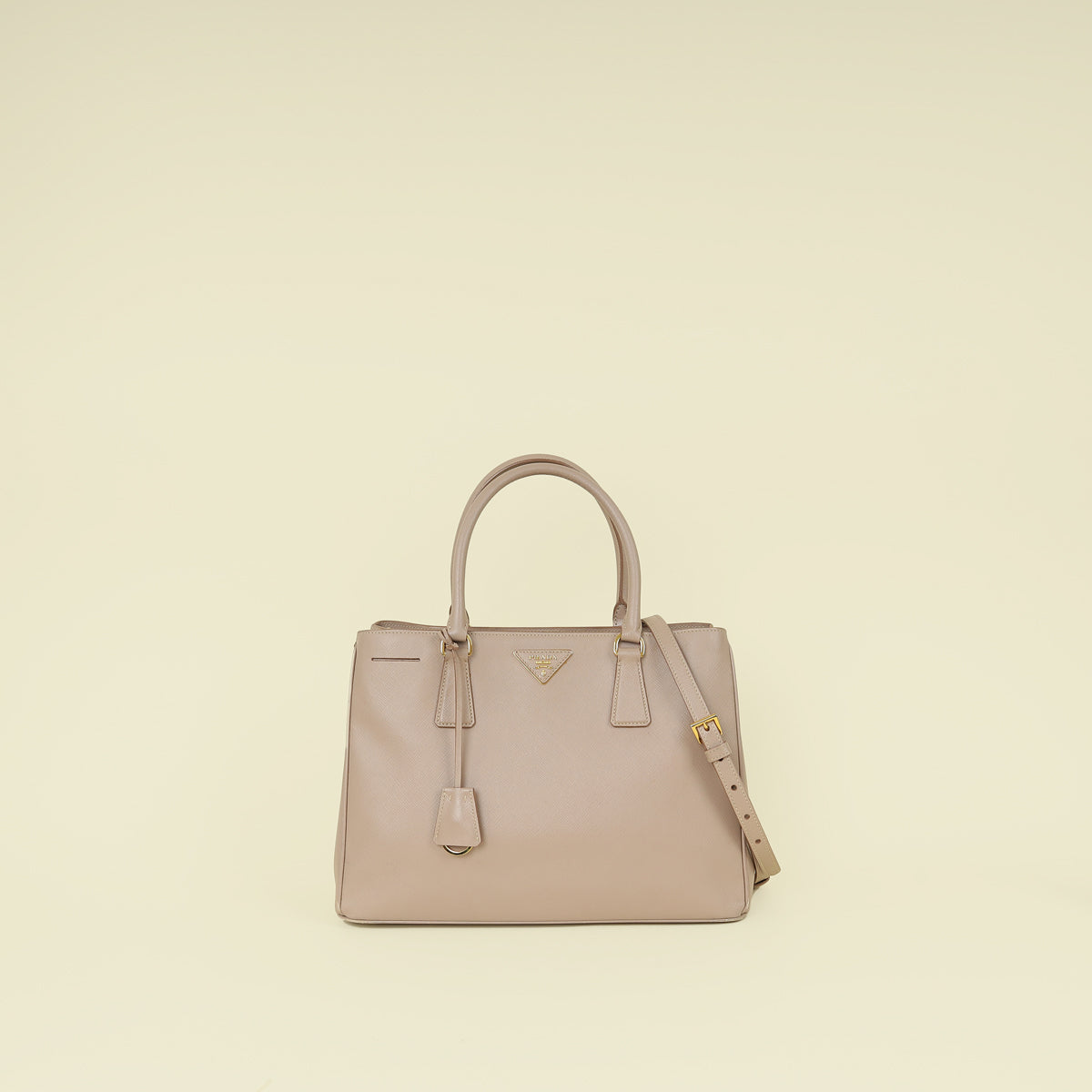 Prada Cammeo LuxGardener's Small Tote Bag