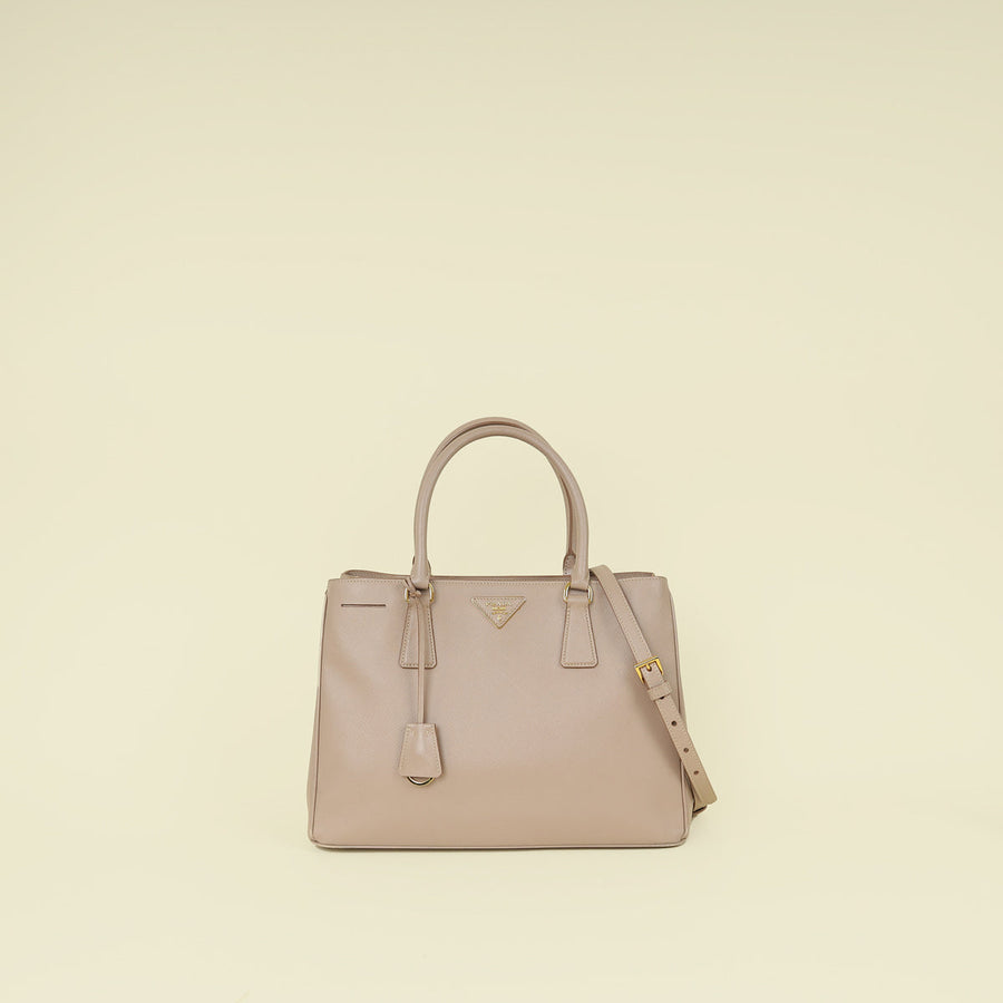 Prada Cammeo LuxGardener's Small Tote Bag
