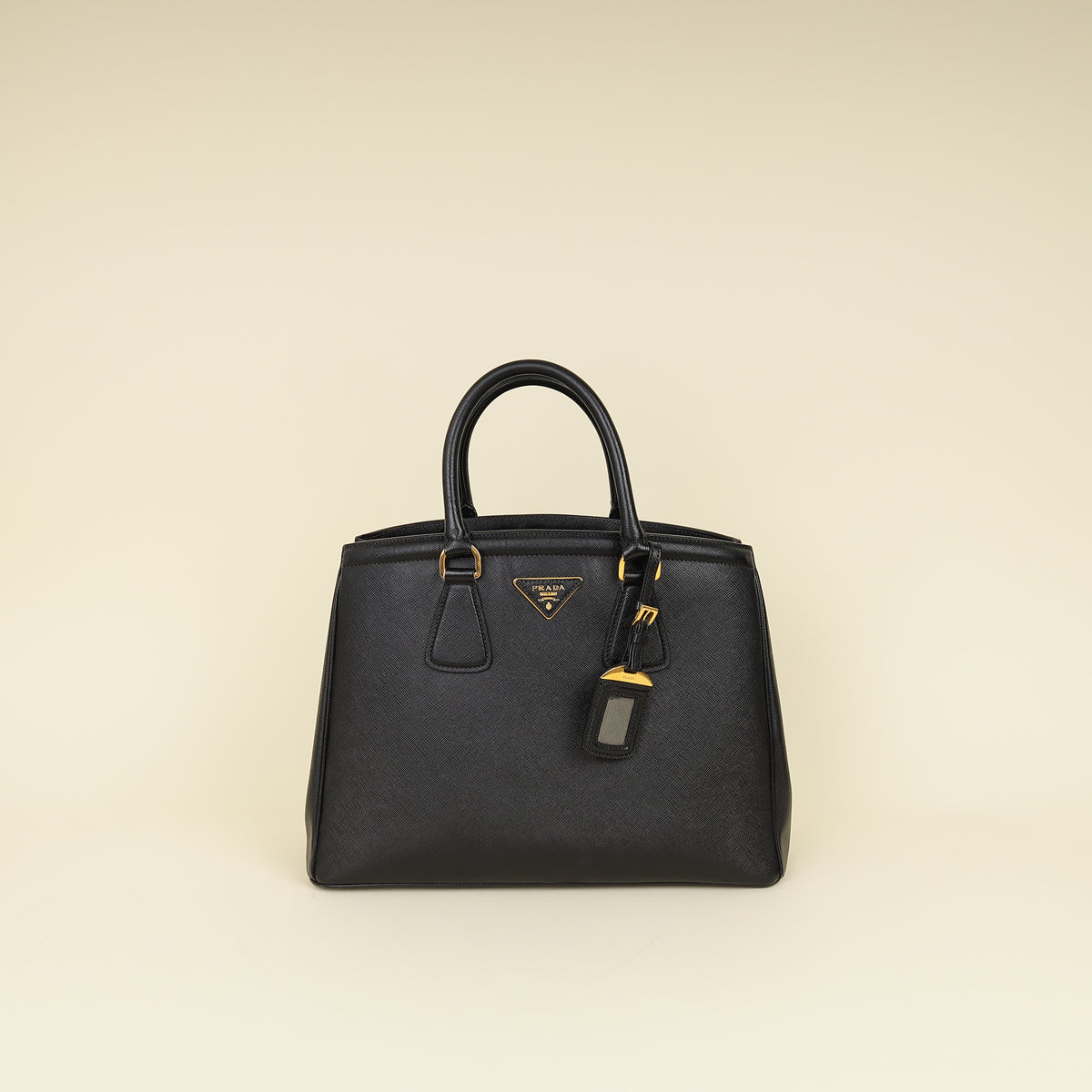 Prada Lux Parabole Tote