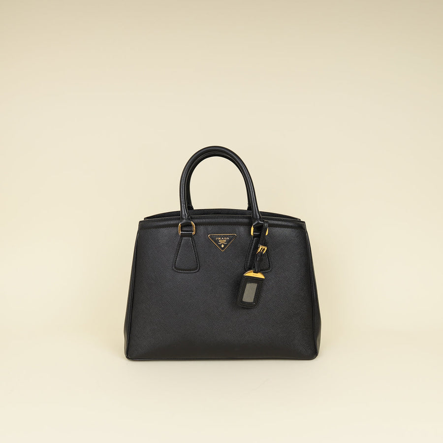 Prada Lux Parabole Tote