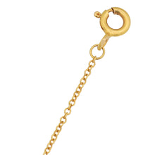 Tiffany & Co 18K Pink Gold Platinum Enchant Primrose Key Diamond Pendant Necklace