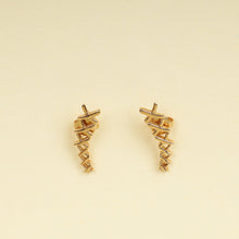 Tiffany & Co. 18K Pink Gold Paloma Picasso Graffiti X Climber Earrings
